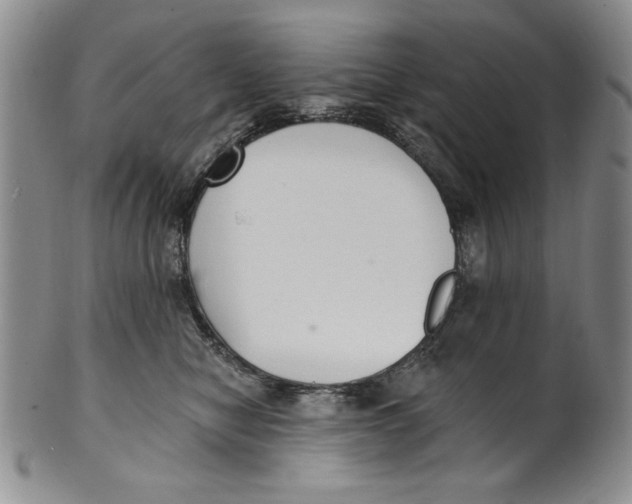 X0000101980470200808081619