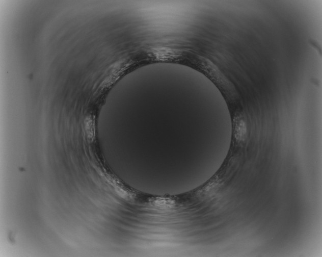 X0000101980471200808081619