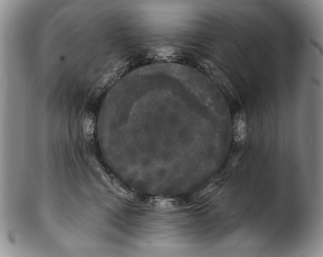 X0000101980472200808081619