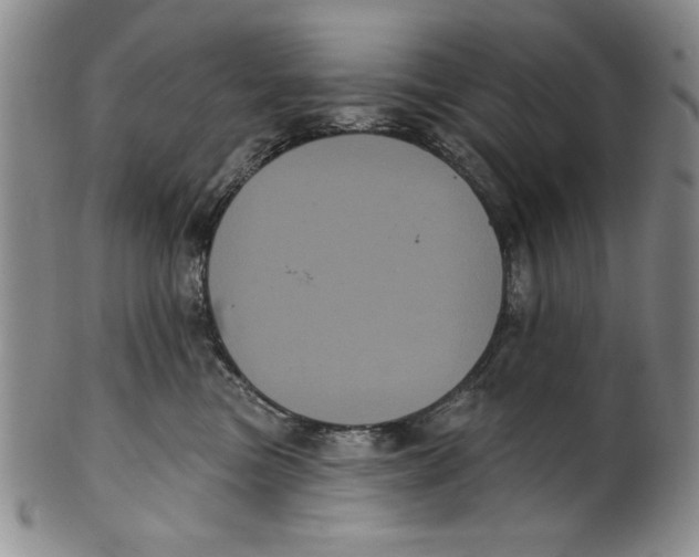 X0000101980473200808081619