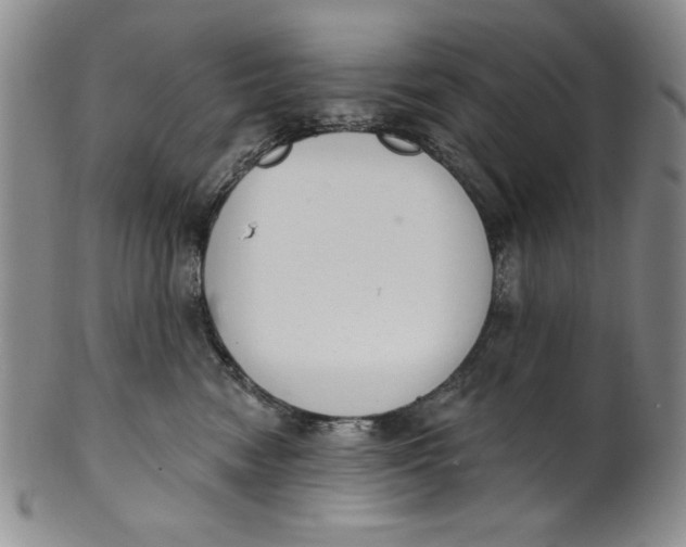 X0000101980474200808081619