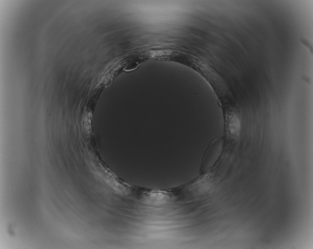 X0000101980475200808081619