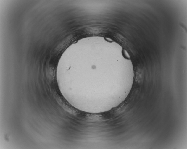 X0000101980476200808081620