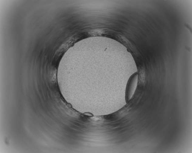 X0000101980477200808081620