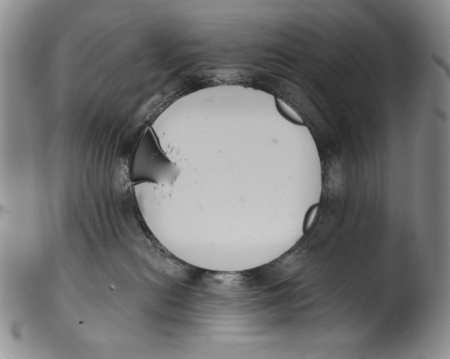 X0000101980478200808081620