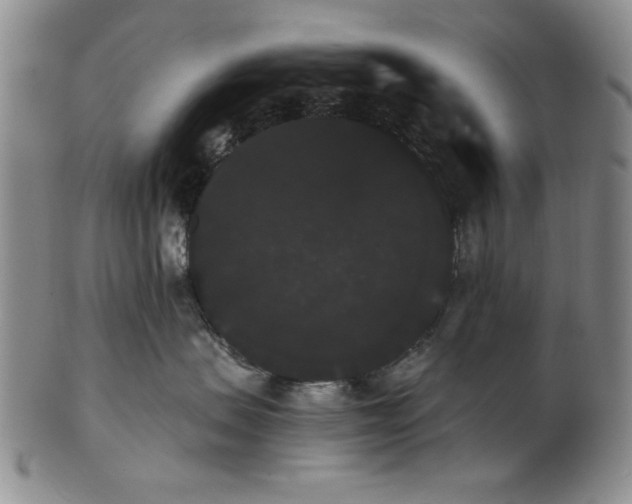 X0000101980479200808081620