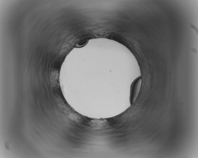 X0000101980480200808081620