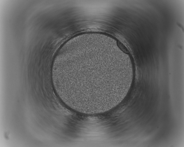 X0000101980481200808081619