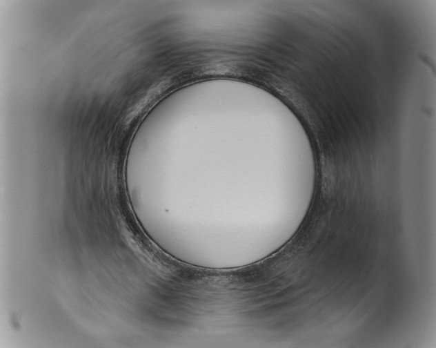 X0000101980482200808081619