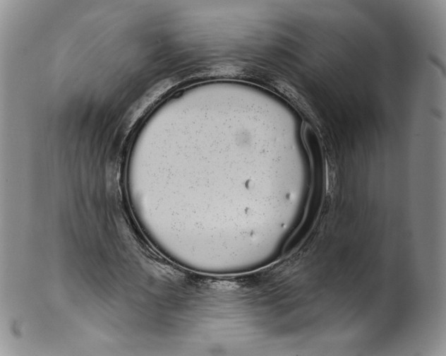 X0000101980483200808081619