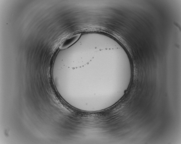 X0000101980485200808081619