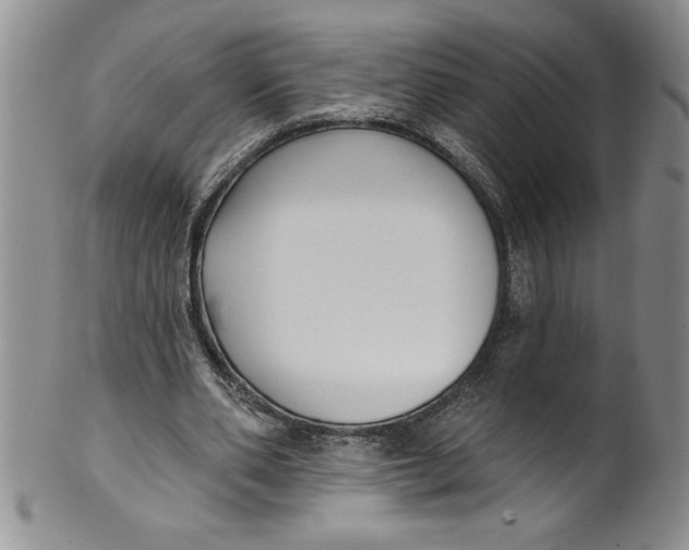 X0000101980486200808081619