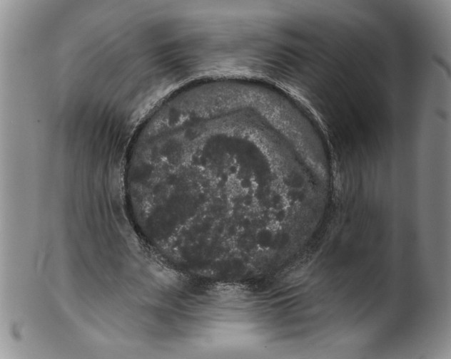 X0000101980487200808081619