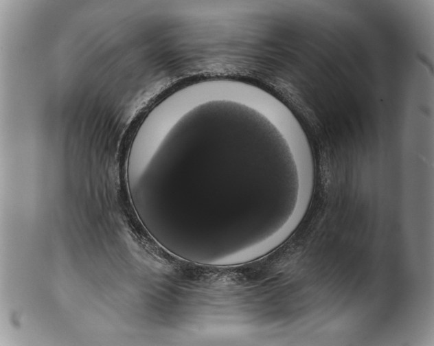 X0000101980488200808081619