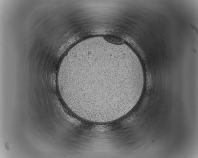 X0000101980489200808081619