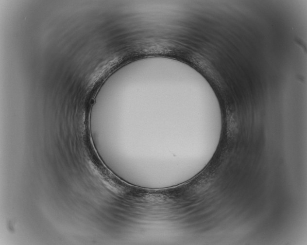 X0000101980490200808081619