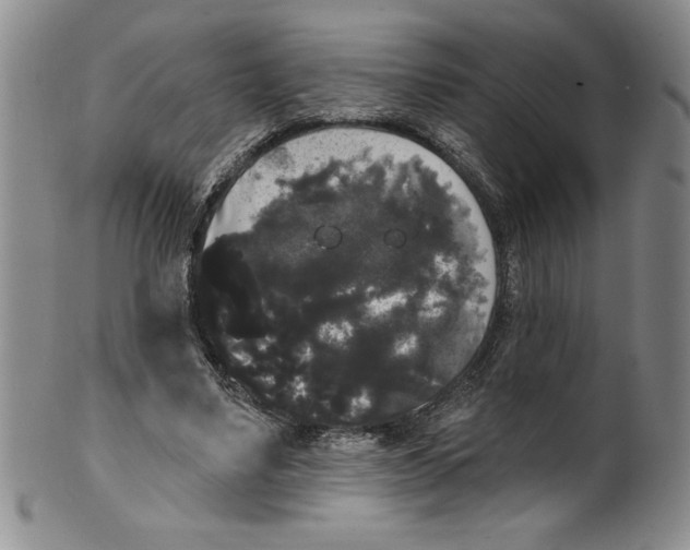 X0000101980491200808081619