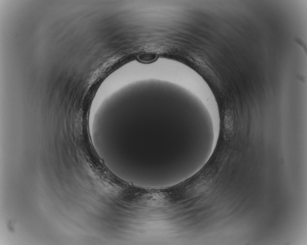 X0000101980492200808081619