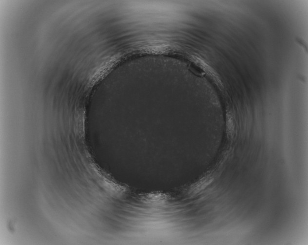 X0000101980493200808081619