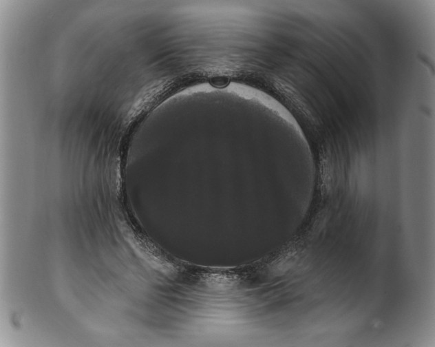 X0000101980494200808081619