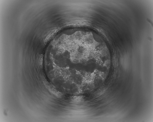 X0000101980495200808081619