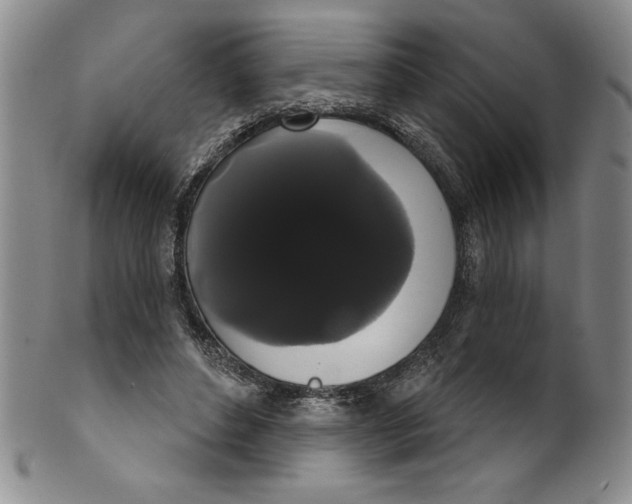 X0000101980496200808081619