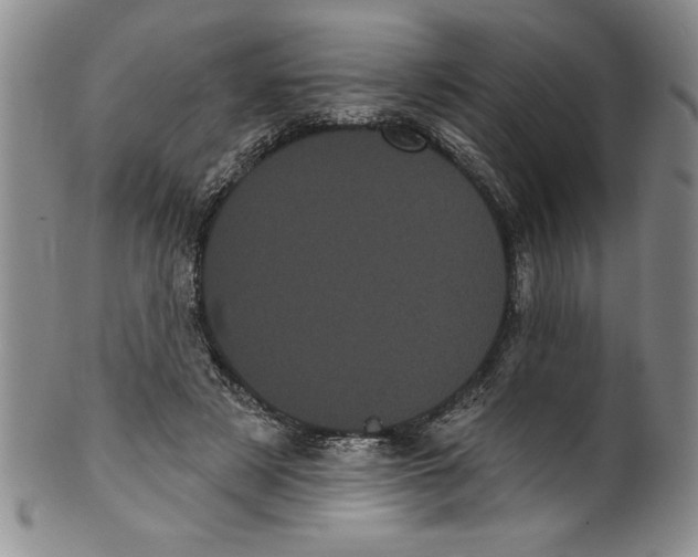 X0000101980497200808081619