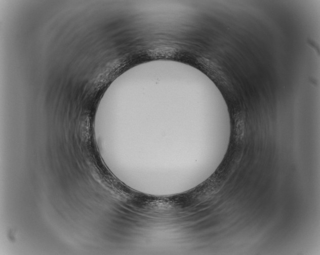 X0000101980498200808081619