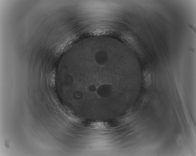 X0000101980499200808081619