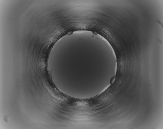 X0000101980500200808081619