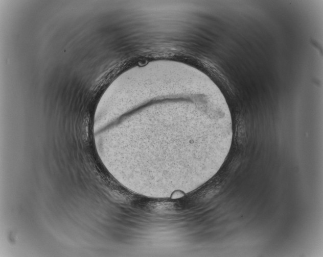 X0000101980501200808081619