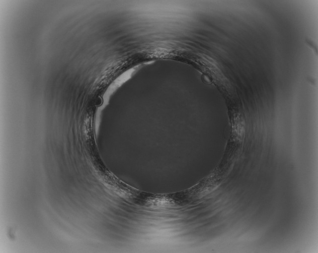 X0000101980503200808081618