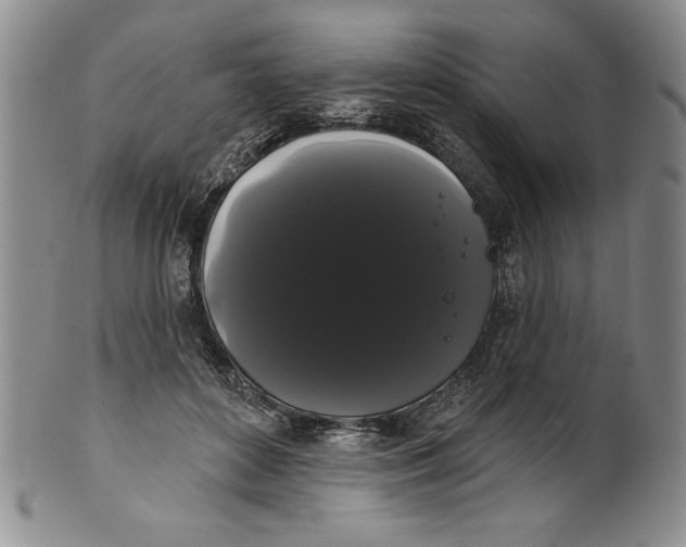 X0000101980504200808081618