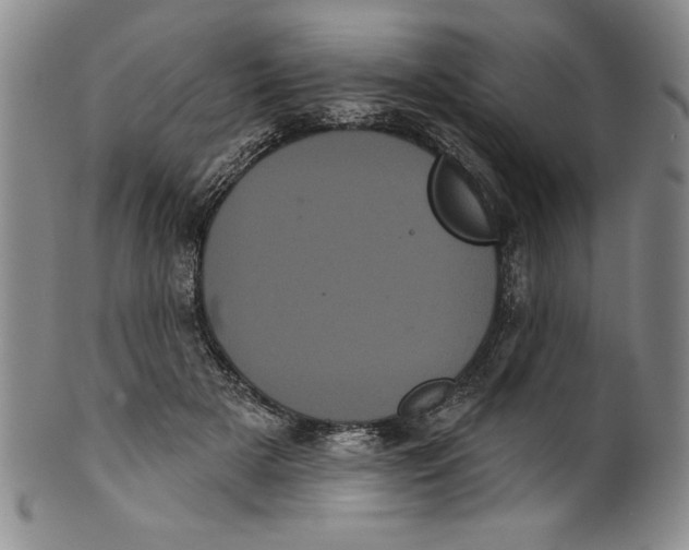 X0000101980505200808081618