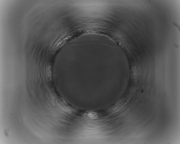 X0000101980506200808081618