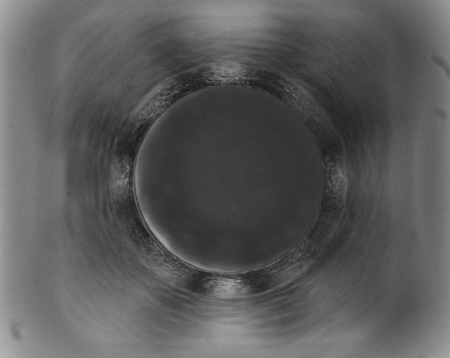 X0000101980507200808081618