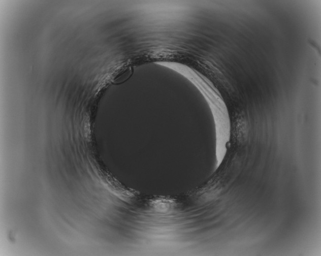 X0000101980508200808081618