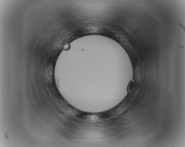 X0000101980509200808081618