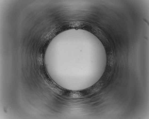 X0000101980510200808081618