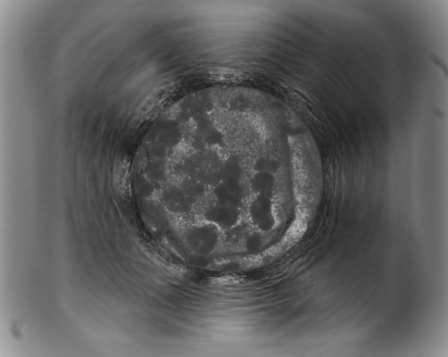 X0000101980511200808081618