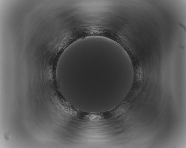 X0000101980512200808081618