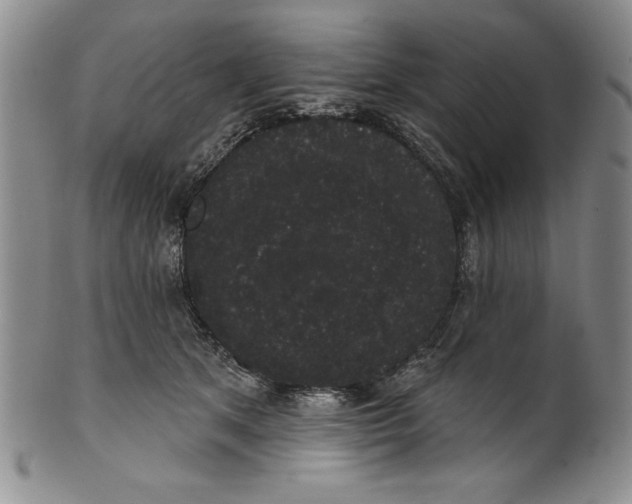 X0000101980513200808081618