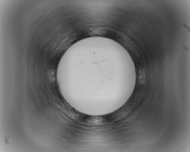 X0000101980514200808081618