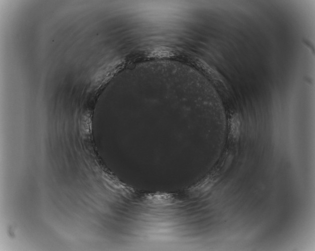 X0000101980517200808081618