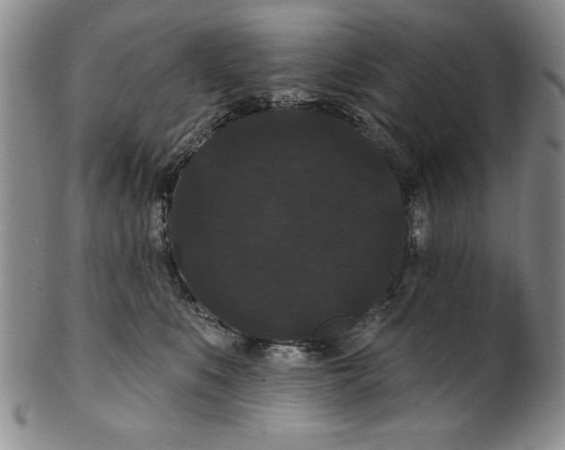 X0000101980519200808081618