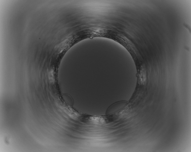 X0000101980520200808081618