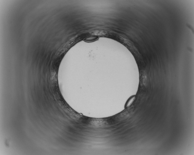 X0000101980521200808081618