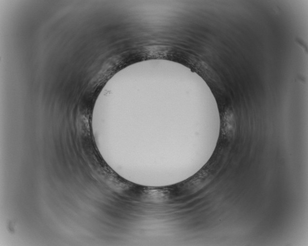 X0000101980522200808081618