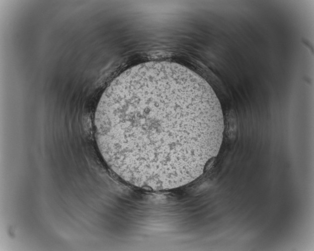 X0000101980523200808081618