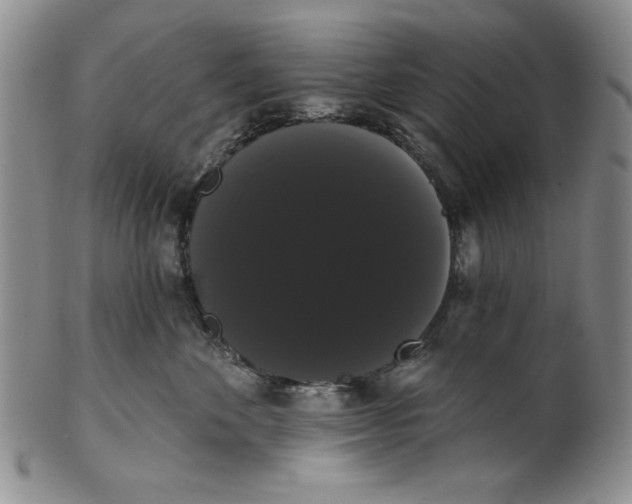 X0000101980524200808081618